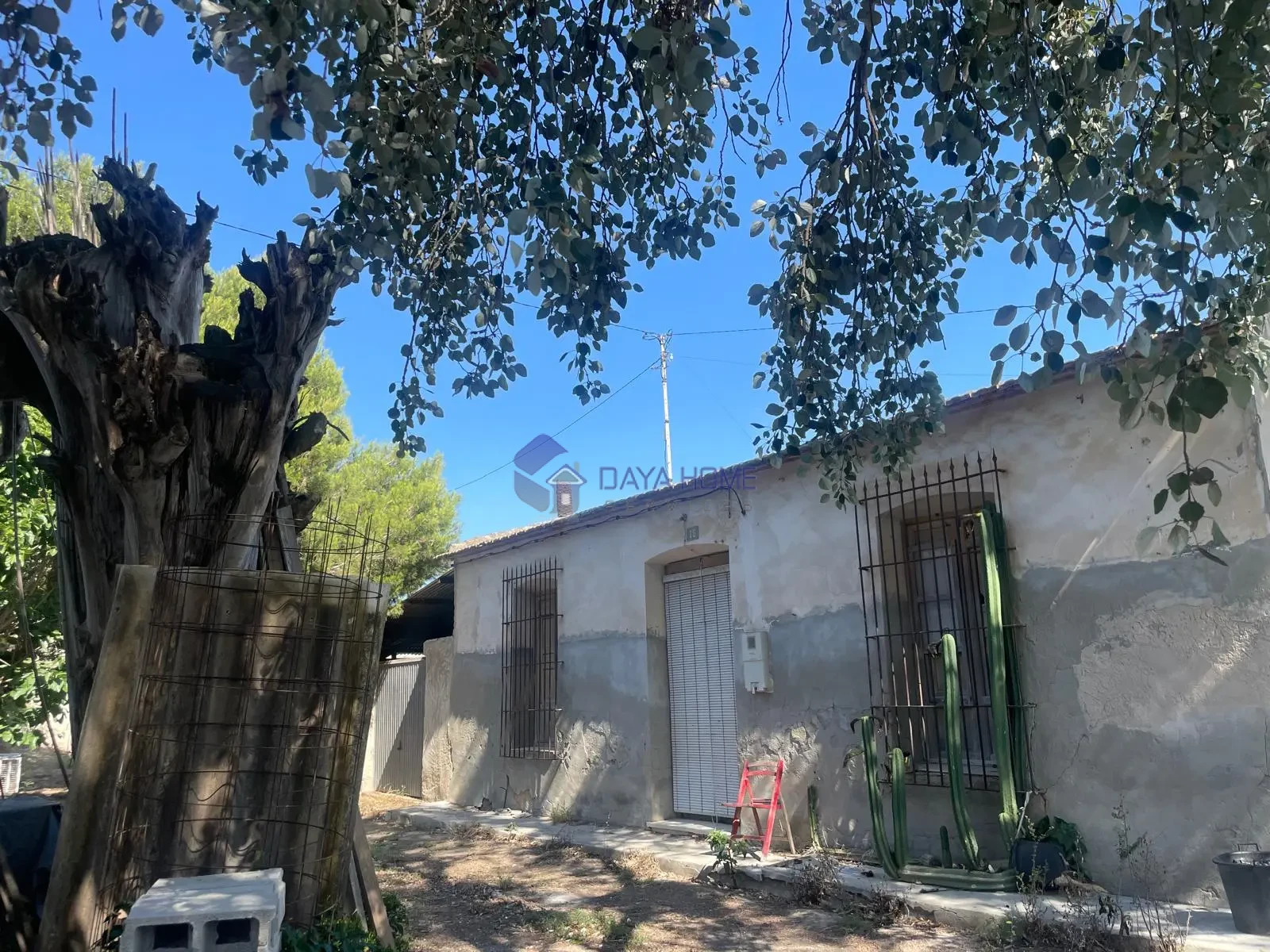 HOUSE AND RURAL PROPERTY